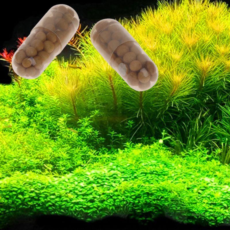 QX2E Aquarium-Lebepflanzendüng – Planted Aquarium Best Fish Bewertung und Preis