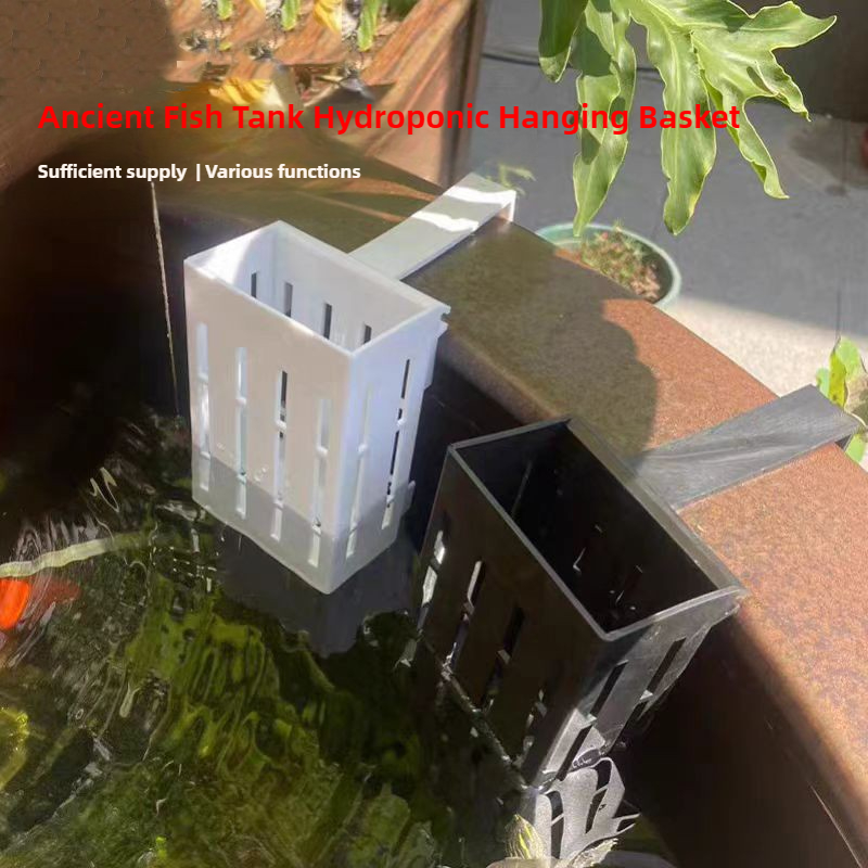 1/3Pcs Aquarium Pflanzen Korb  – Aquarium Planted Wall Bewertung und Preis