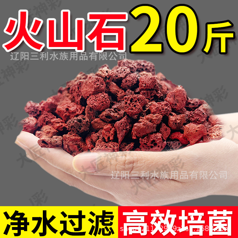 Natürlicher Poröser Roter Lava – Aquarium Planted Tank Soil Bewertung und Preis