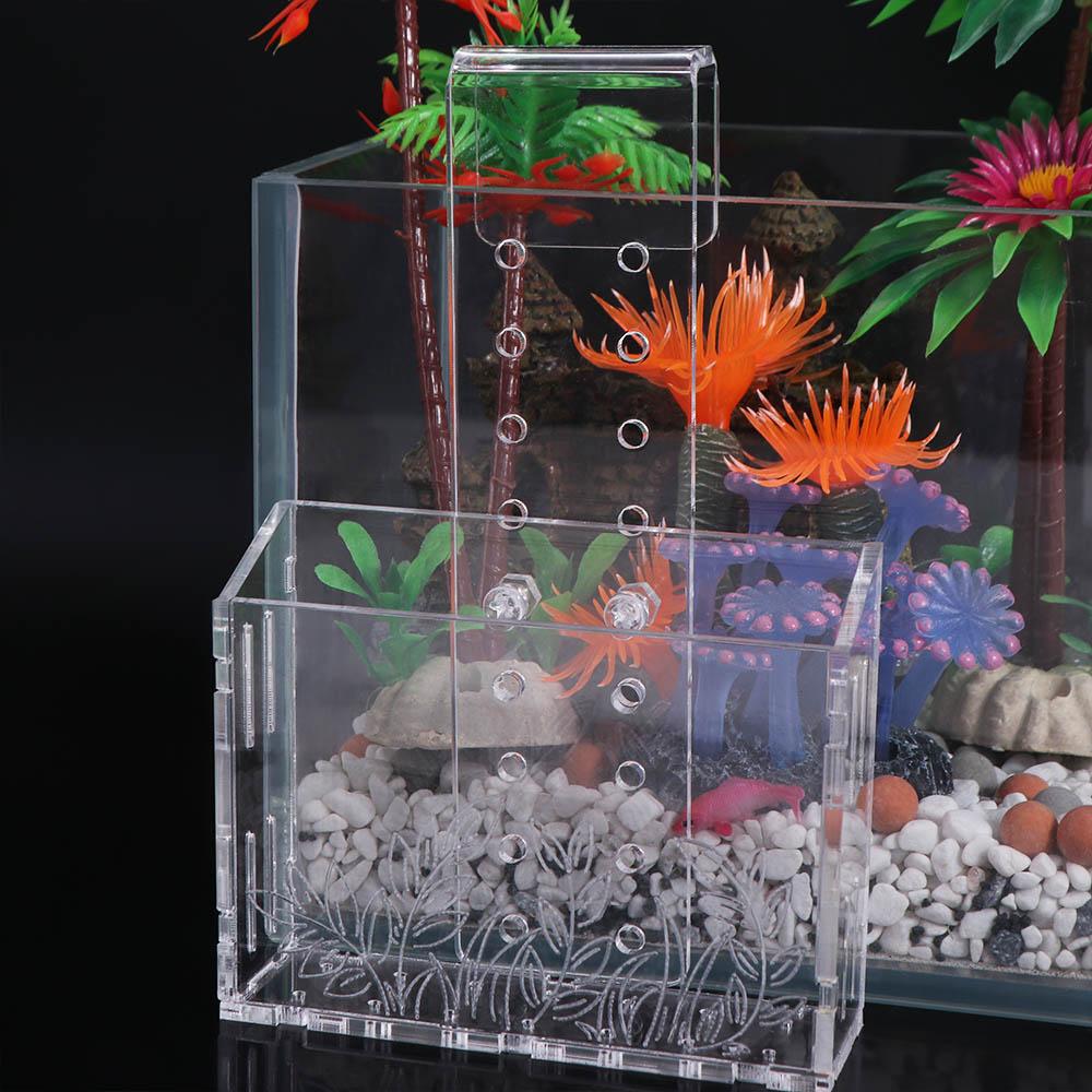 Wandhängende Aquarienpflanzen- – Aquarium Planted Wall Bewertung und Preis