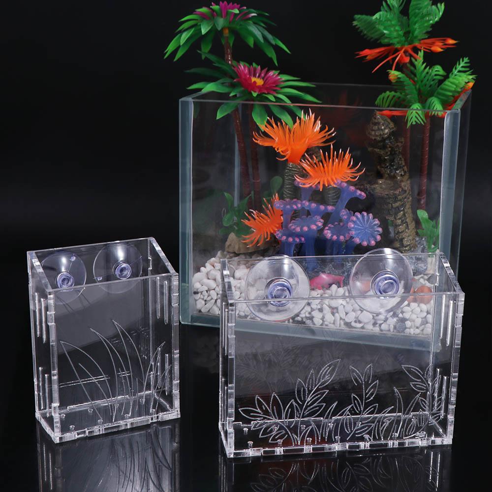 Wandhängende Aquarienpflanzen- – Aquarium Planted Wall Bewertung und Preis