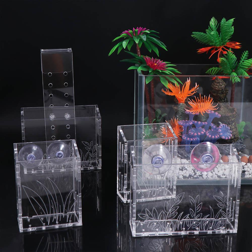 Wandhängende Aquarienpflanzen- – Aquarium Planted Wall Bewertung und Preis