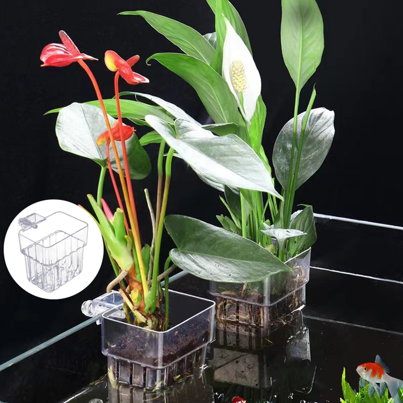 Multifunktion ale Fisch Aquari – Aquarium Planted Fish Tank Bewertung und Preis