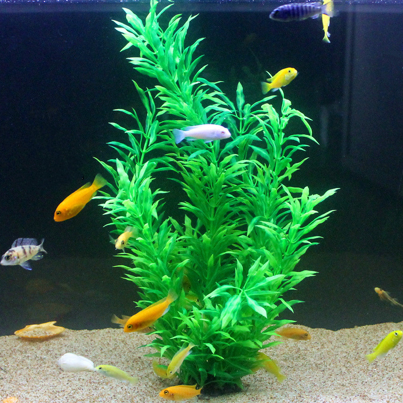 50CM Künstliche Aquarium Selte – Aquarium Planted Fish Tank Bewertung und Preis