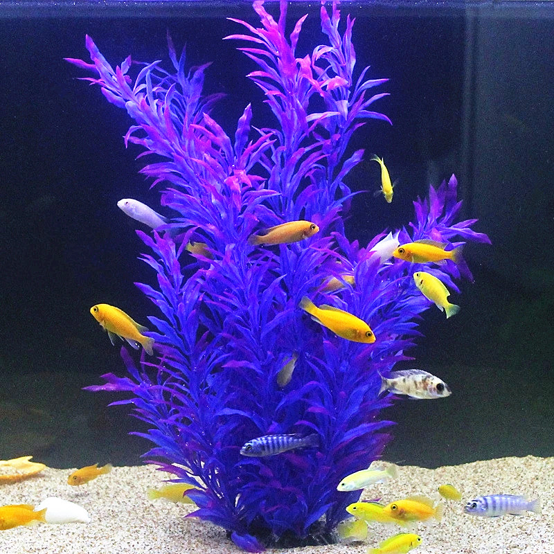50CM Künstliche Aquarium Selte – Aquarium Planted Fish Tank Bewertung und Preis