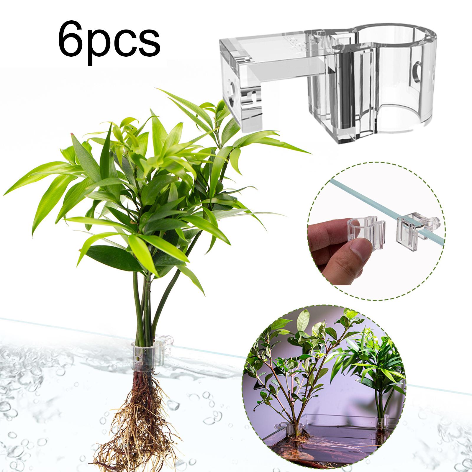 Langlebiger Transparenter Pfla – Aquarium Planted Wall Bewertung und Preis
