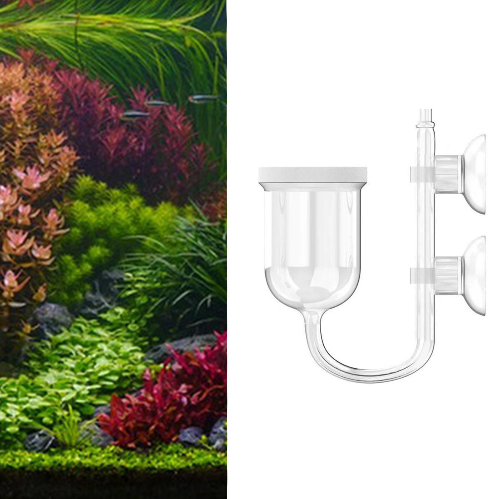 Glas-CO2-Diffusor, transparent – Planted Aquarium Co2 System Bewertung und Preis