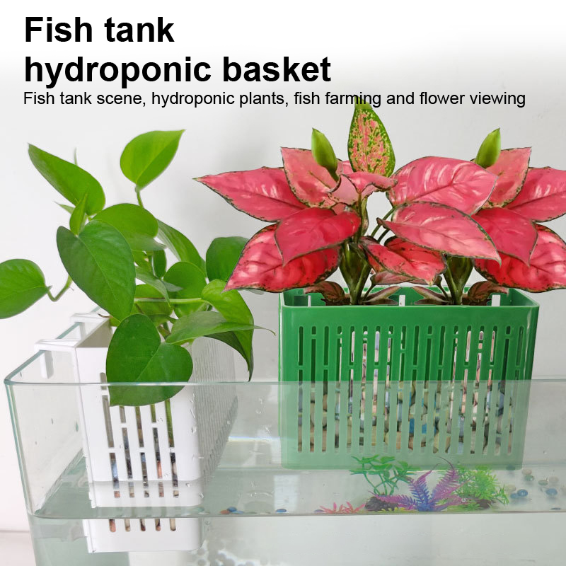 【F】Aquarium-Hängepflanzgefäß,  – Aquarium Planted Fish Tank Bewertung und Preis