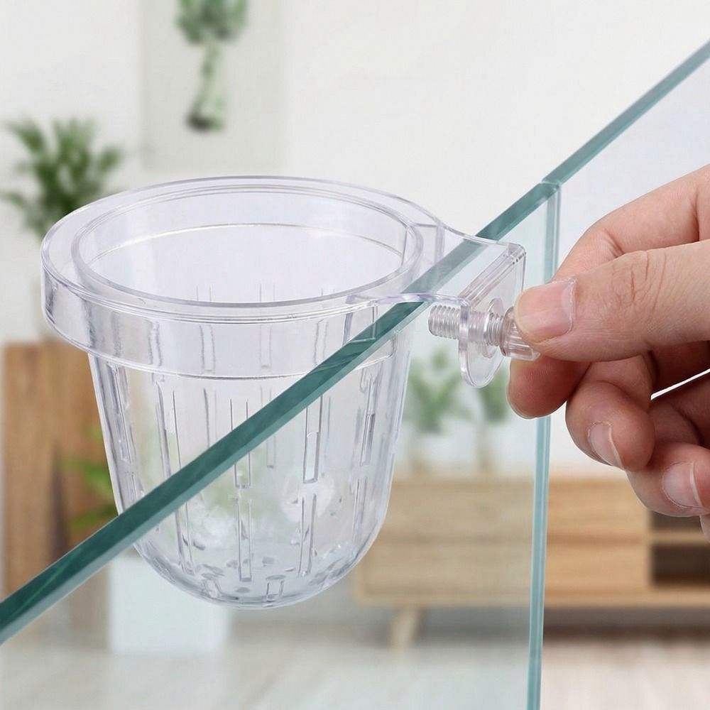 Transparenter Fischbecken-Pfla – Aquarium Planted Wall Bewertung und Preis