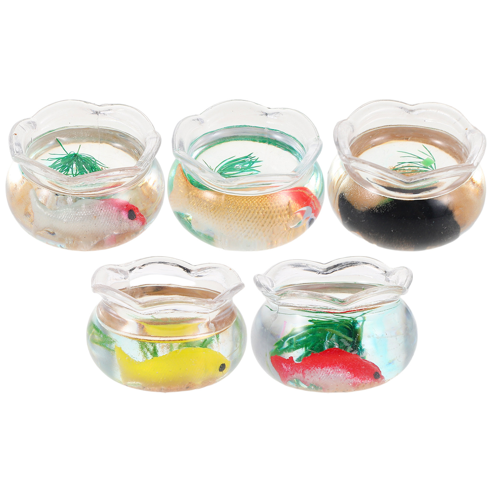 5 Stück Miniatur-Fischbecken,  – Aquarium Planted Fish Tank Bewertung und Preis