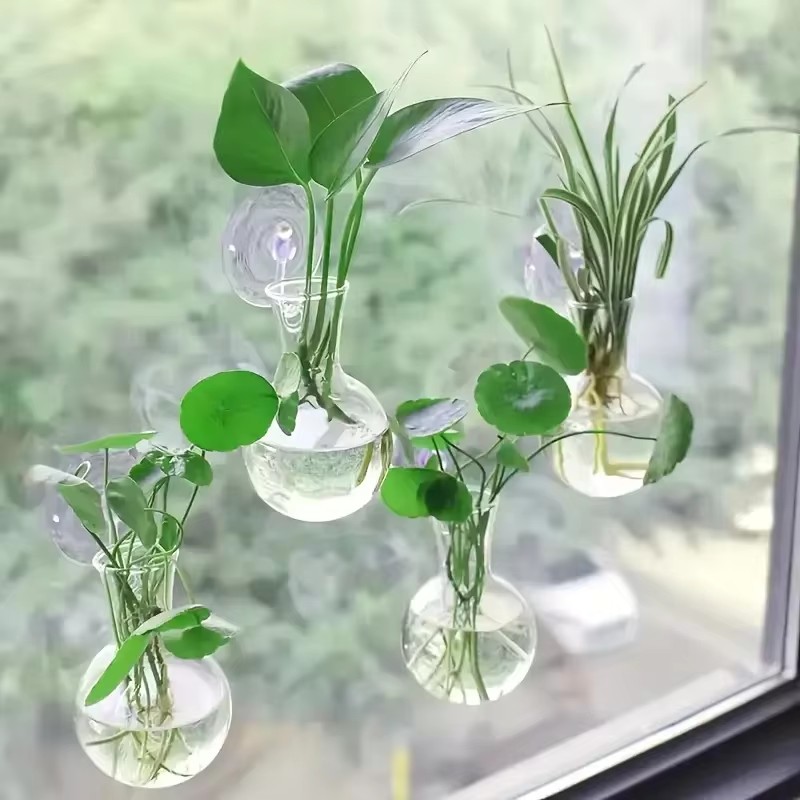 Kreative Halbkreisförmige Klas – Aquarium Planted Wall Bewertung und Preis