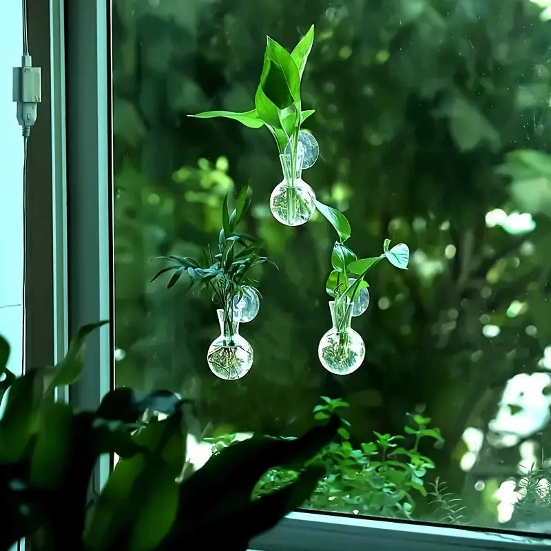 Kreative Halbkreisförmige Klas – Aquarium Planted Wall Bewertung und Preis