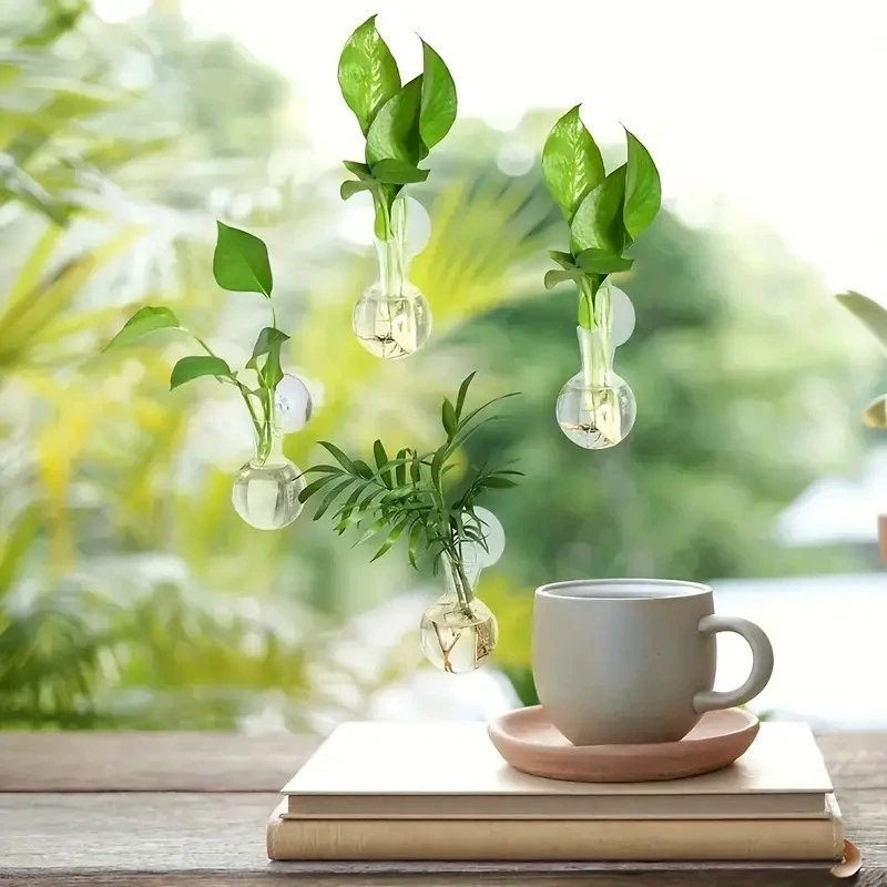 Kreative Halbkreisförmige Klas – Aquarium Planted Wall Bewertung und Preis